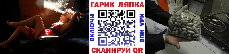 MEGA ONION  Ленинск  ГАШИШ Изолятор 