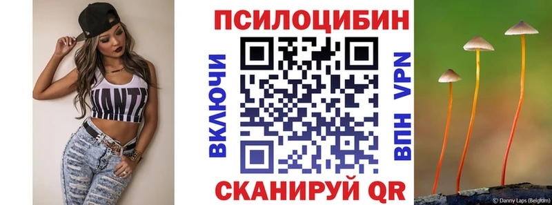 kraken как войти  Ленинск  Галлюциногенные грибы прущие грибы  купить  